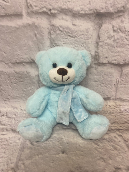 Blue or Pink Teddy Bear with Scarf